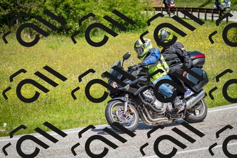 202506071125-DSC_4676_c2