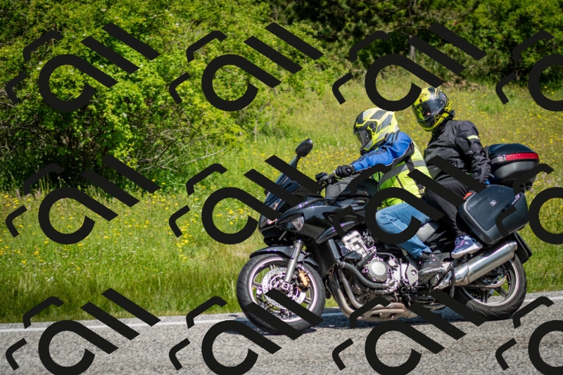 202506071125-DSC_4677_c2