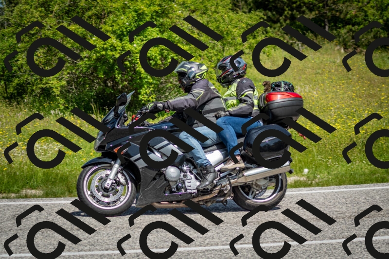 202506071125-DSC_4694_c2