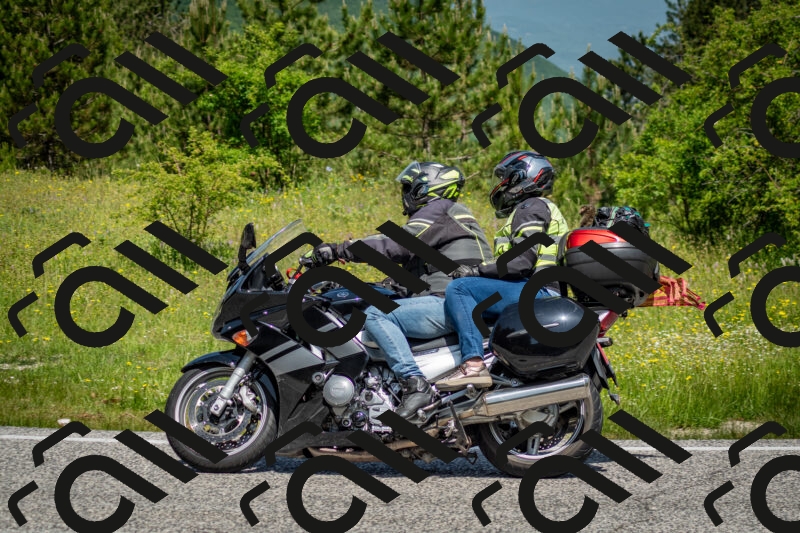 202506071125-DSC_4695_c2