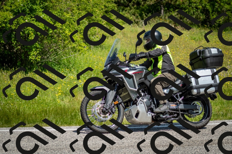 202506071125-DSC_4697_c2