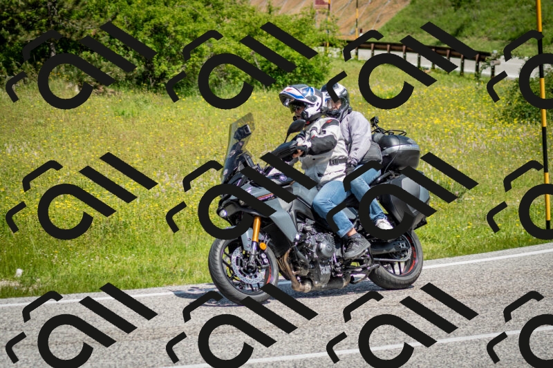 202506071125-DSC_4698_c2