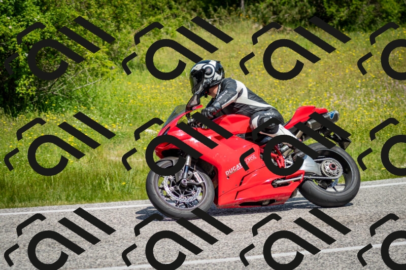 202506071126-DSC_4706_c2