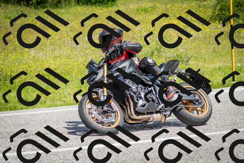 202506071126-DSC_4708_c2