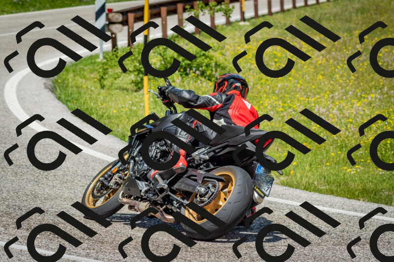 202506071126-DSC_4710_c2