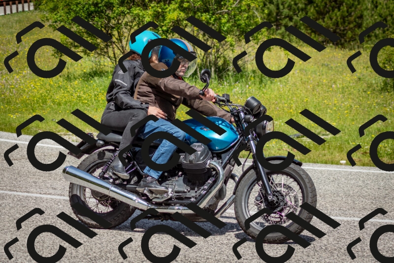 202506071127-DSC_4720_c2