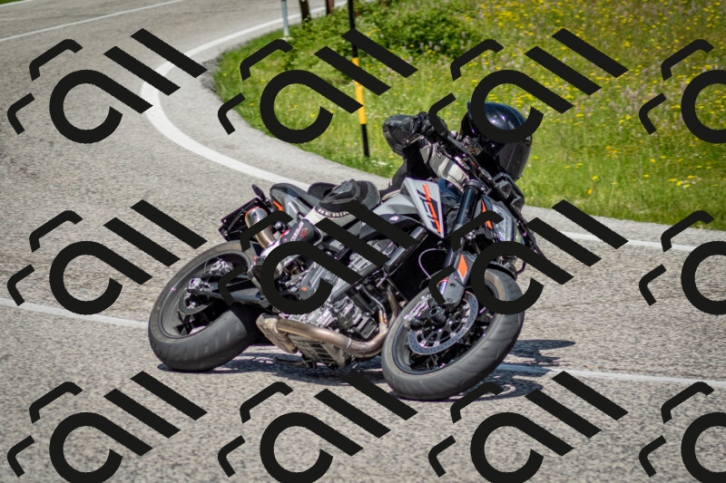 202506071128-DSC_4731_c2