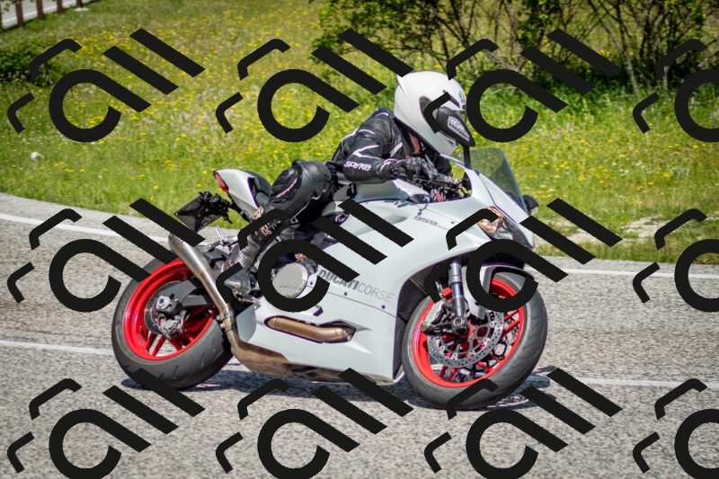 202506071129-DSC_4760_c2