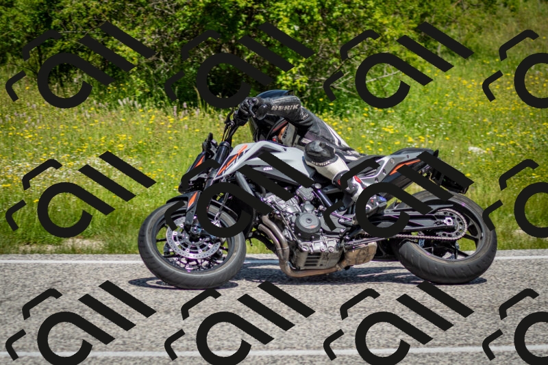 202506071130-DSC_4779_c2