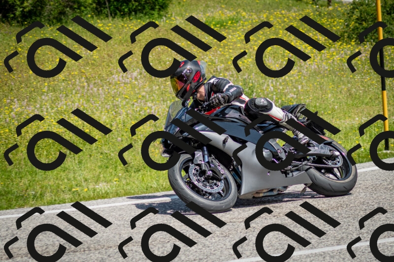 202506071131-DSC_4785_c2