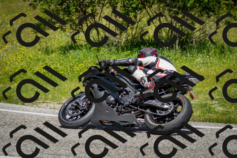 202506071131-DSC_4787_c2