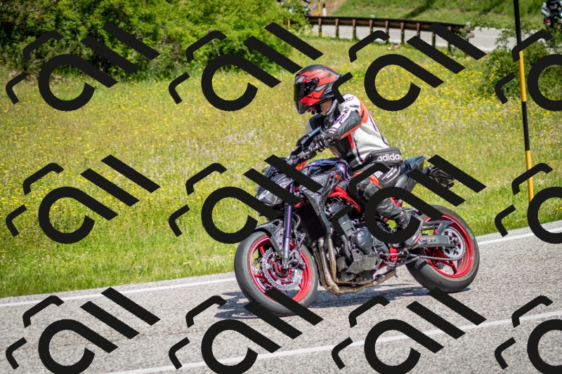 202506071131-DSC_4788_c2