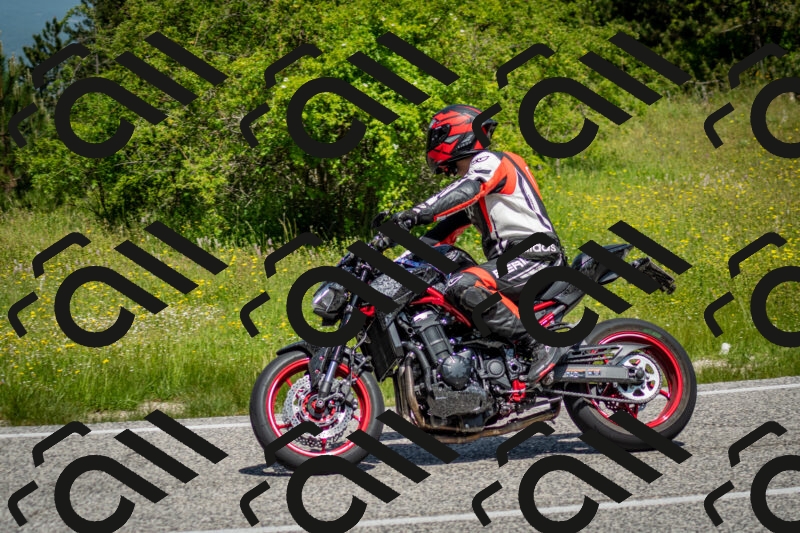 202506071131-DSC_4789_c2