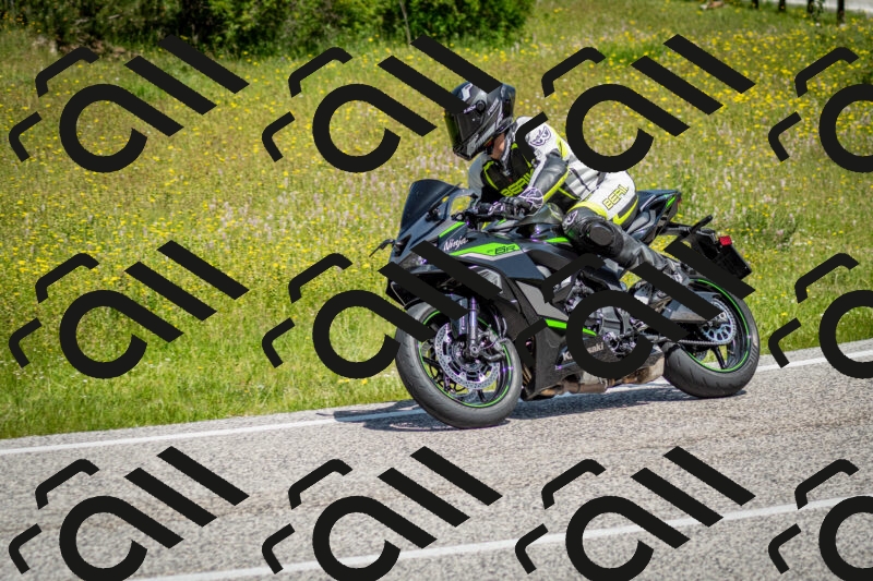 202506071131-DSC_4793_c2