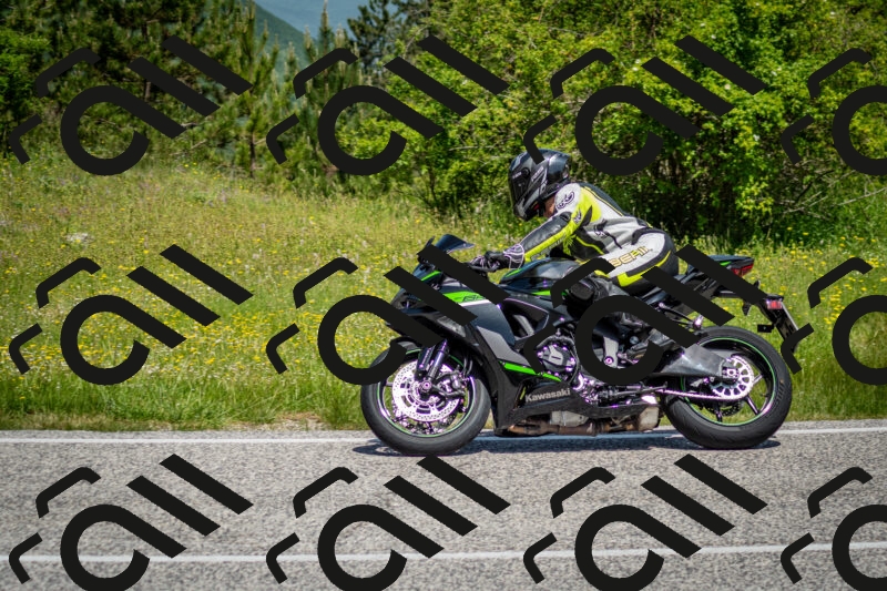 202506071131-DSC_4794_c2