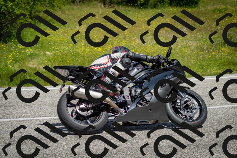 202506071132-DSC_4804_c2