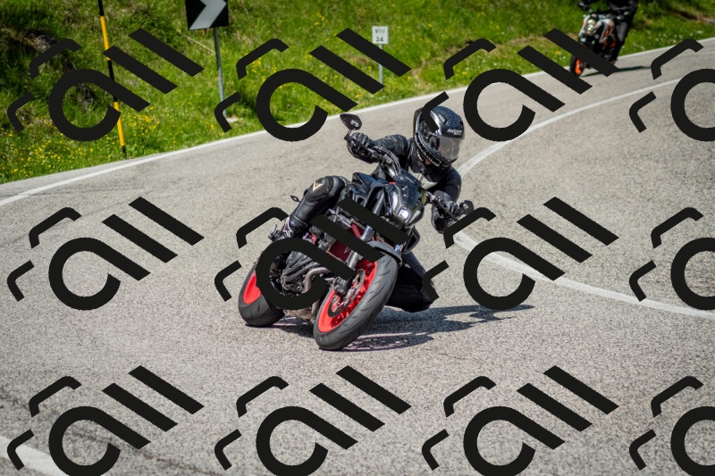 202506071132-DSC_4805_c2