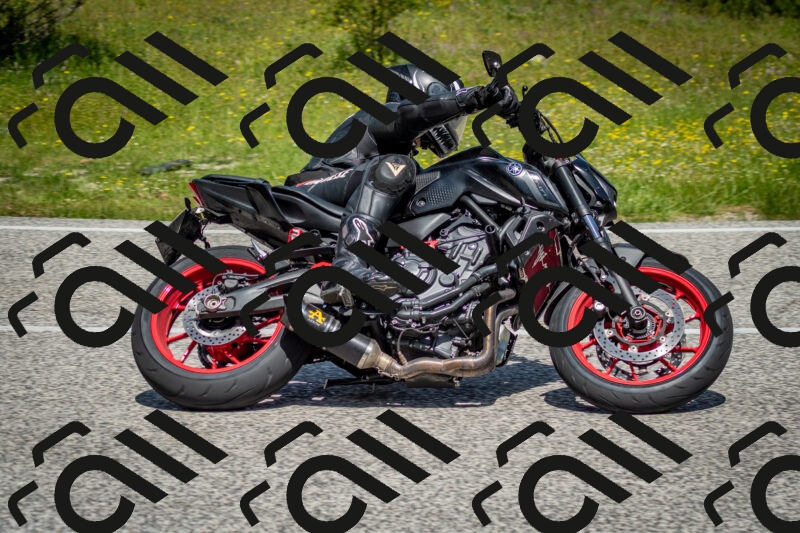 202506071132-DSC_4806_c2