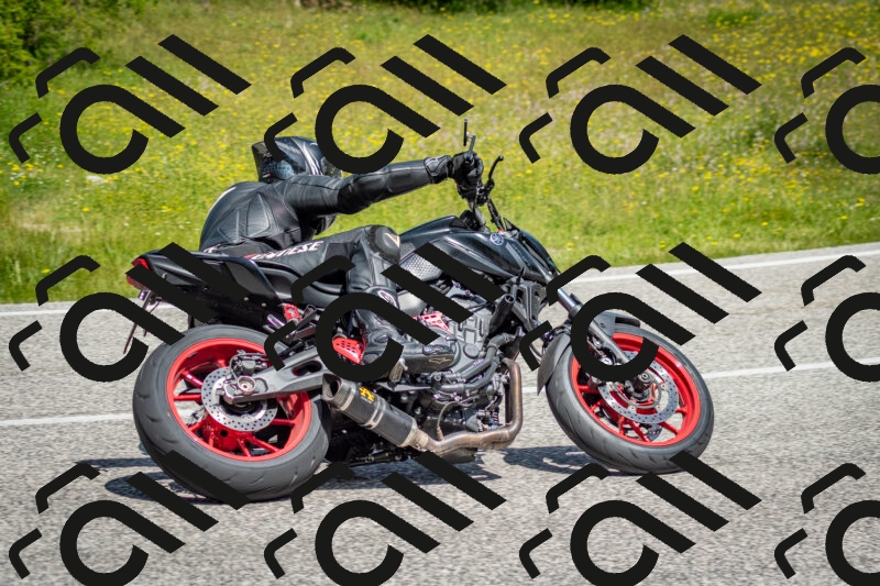 202506071132-DSC_4807_c2