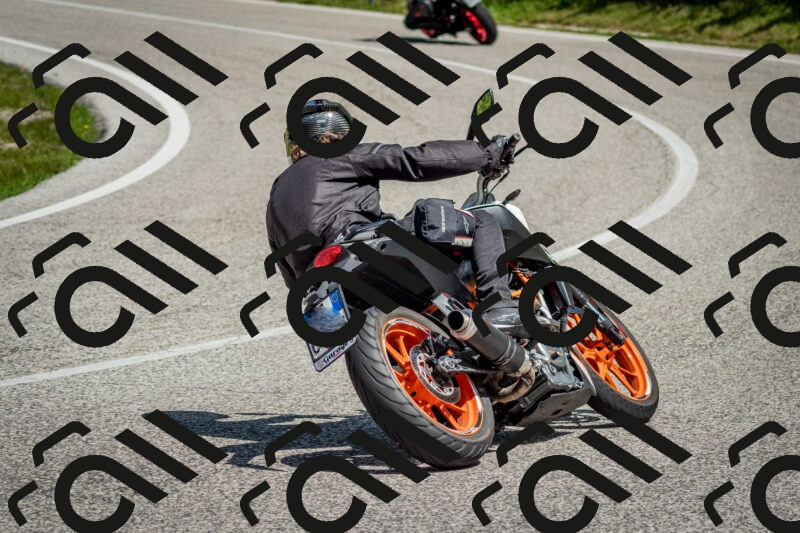 202506071132-DSC_4810_c2