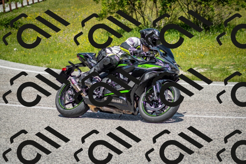 202506071132-DSC_4812_c2