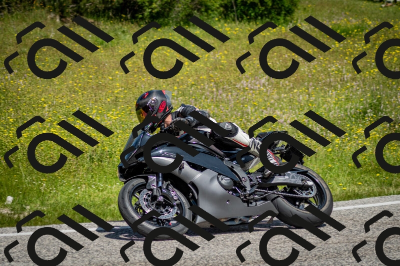 202506071133-DSC_4815_c2