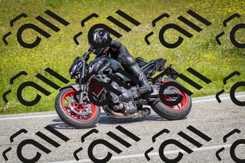 202506071133-DSC_4818_c2