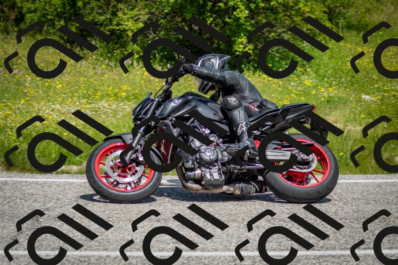 202506071133-DSC_4819_c2