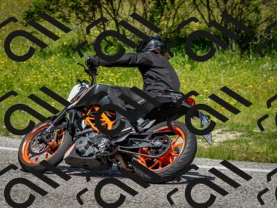 202506071133-DSC_4821_c2