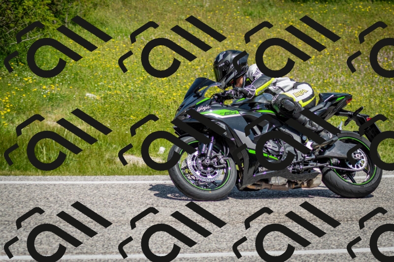 202506071133-DSC_4824_c2