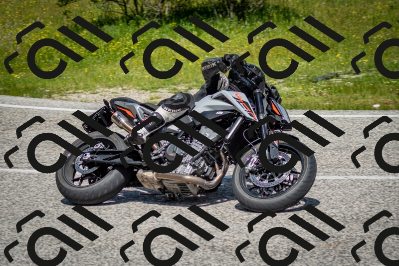 202506071133-DSC_4828_c2