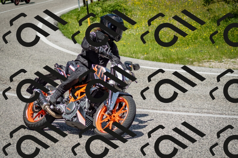 202506071134-DSC_4837_c2