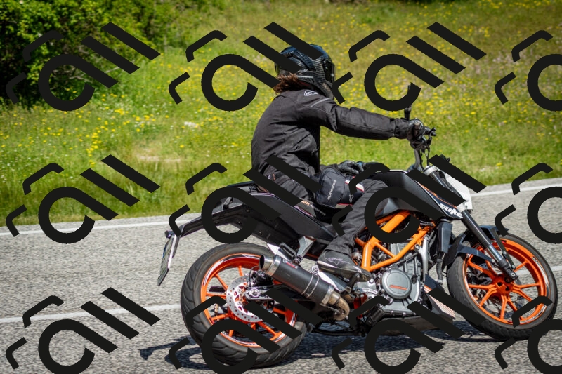 202506071134-DSC_4838_c2