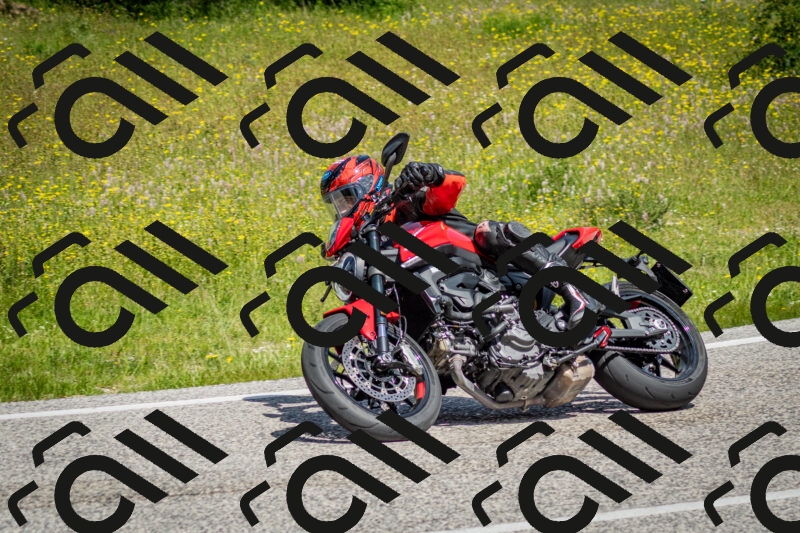 202506071134-DSC_4842_c2