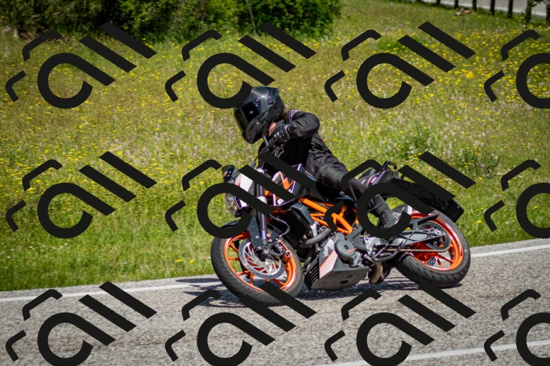 202506071135-DSC_4856_c2