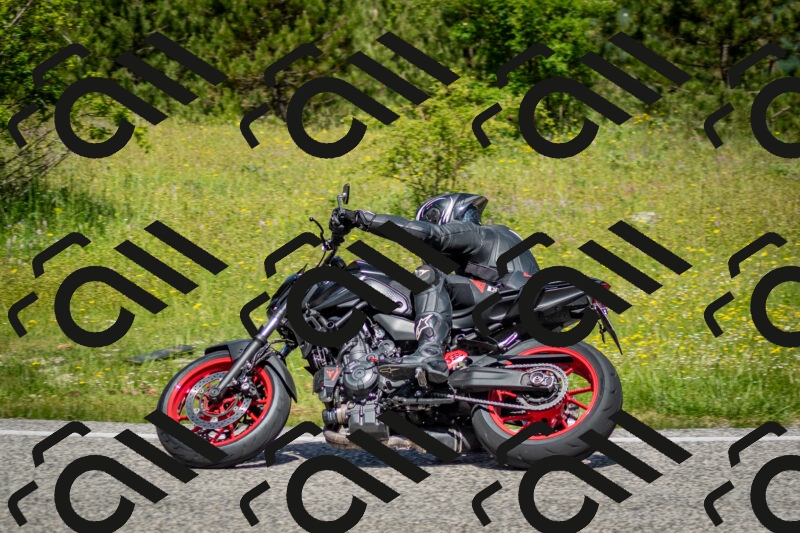 202506071135-DSC_4859_c2