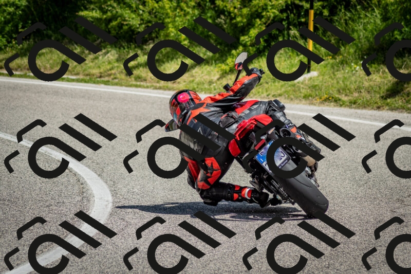 202506071135-DSC_4860_c2