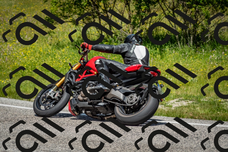 202506071136-DSC_4863_c2