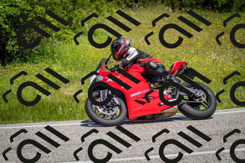 202506071136-DSC_4865_c2