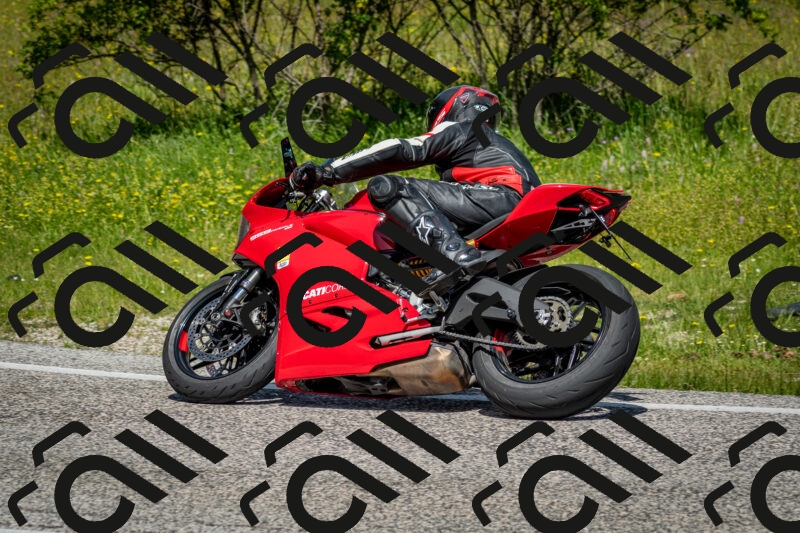 202506071136-DSC_4866_c2