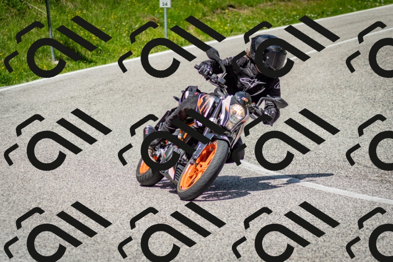 202506071136-DSC_4867_c2