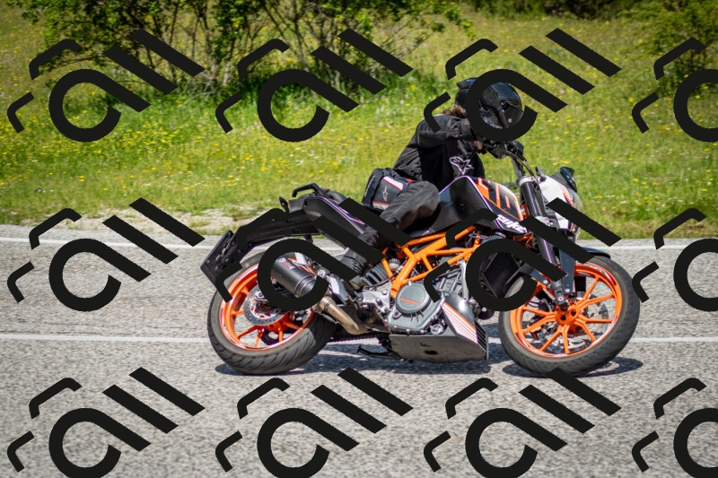 202506071136-DSC_4868_c2