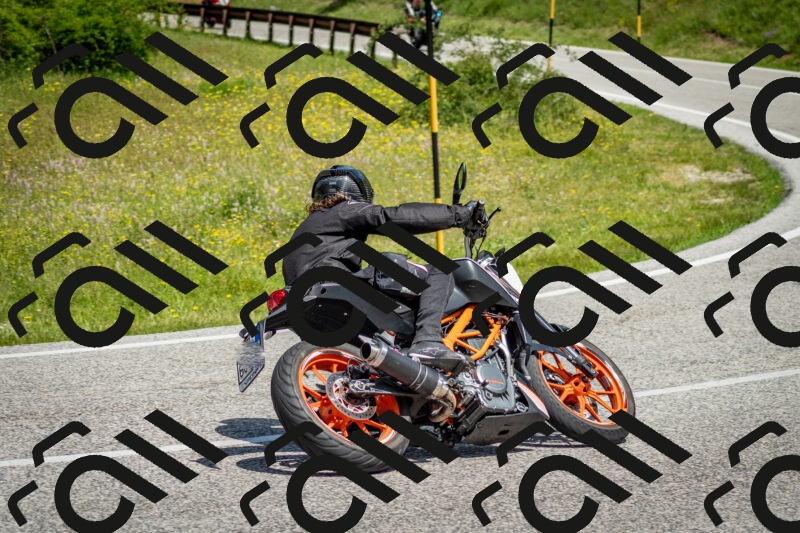 202506071136-DSC_4869_c2