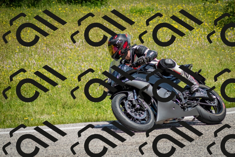 202506071136-DSC_4871_c2