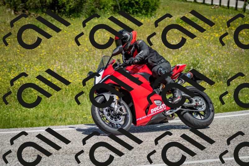 202506071136-DSC_4873_c2