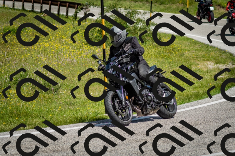 202506071136-DSC_4874_c2