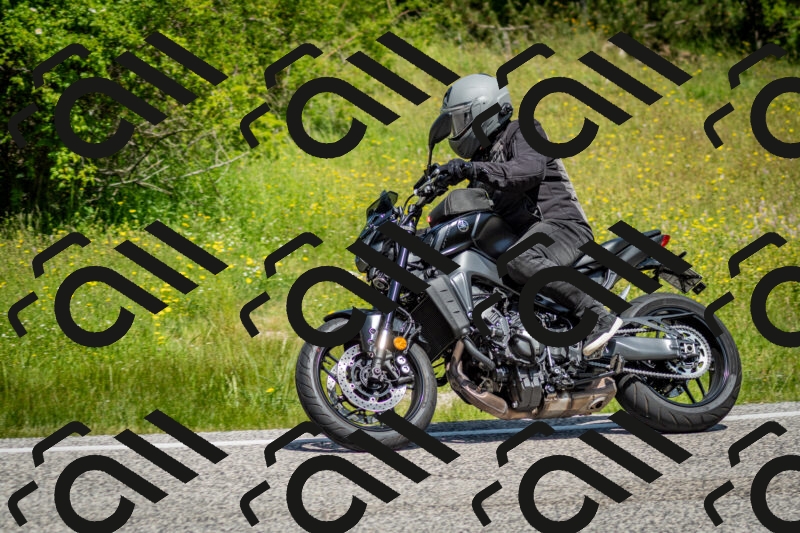 202506071136-DSC_4875_c2