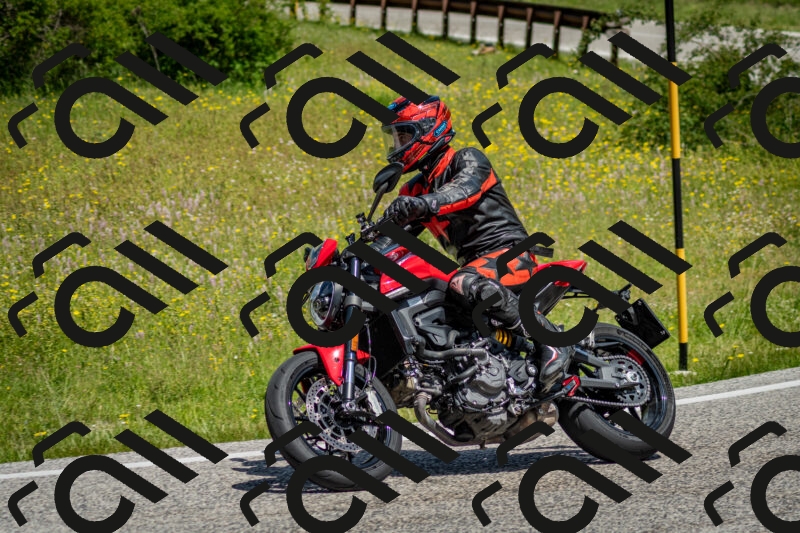 202506071136-DSC_4876_c2