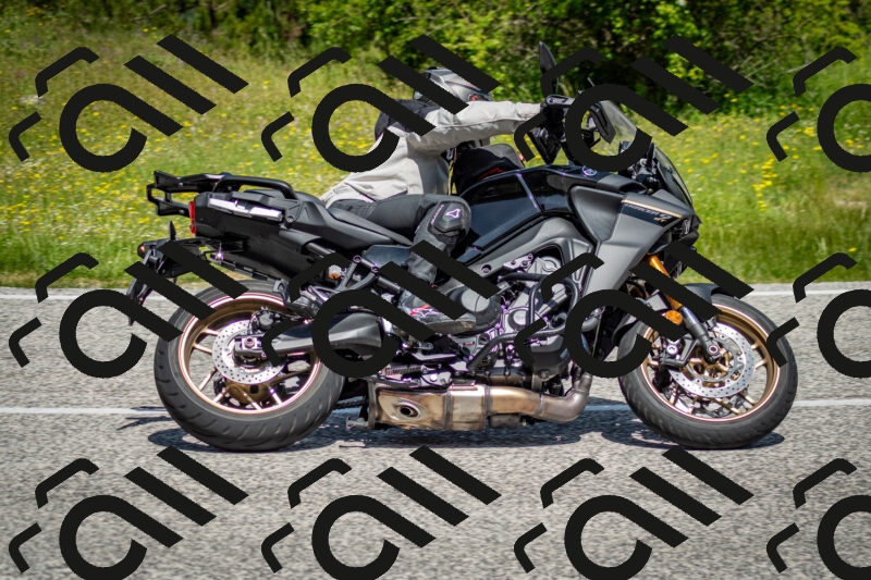 202506071136-DSC_4879_c2