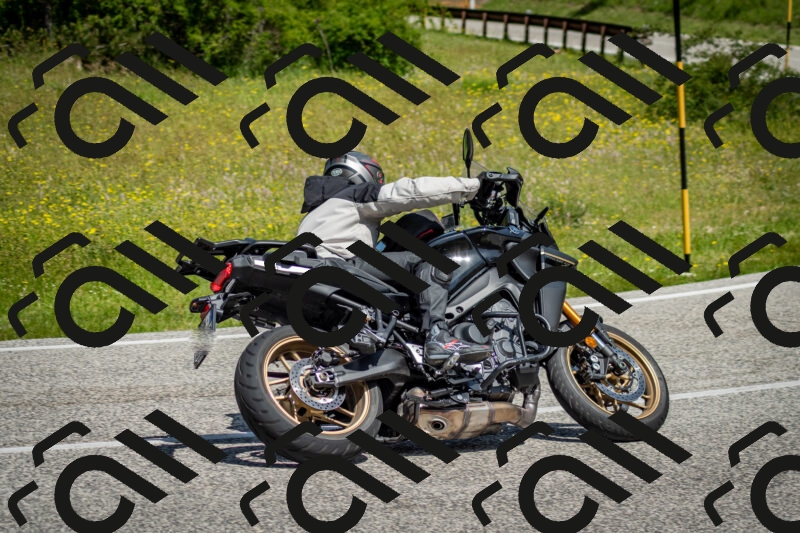 202506071136-DSC_4880_c2